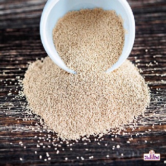 خمیرمایه خشک فوری